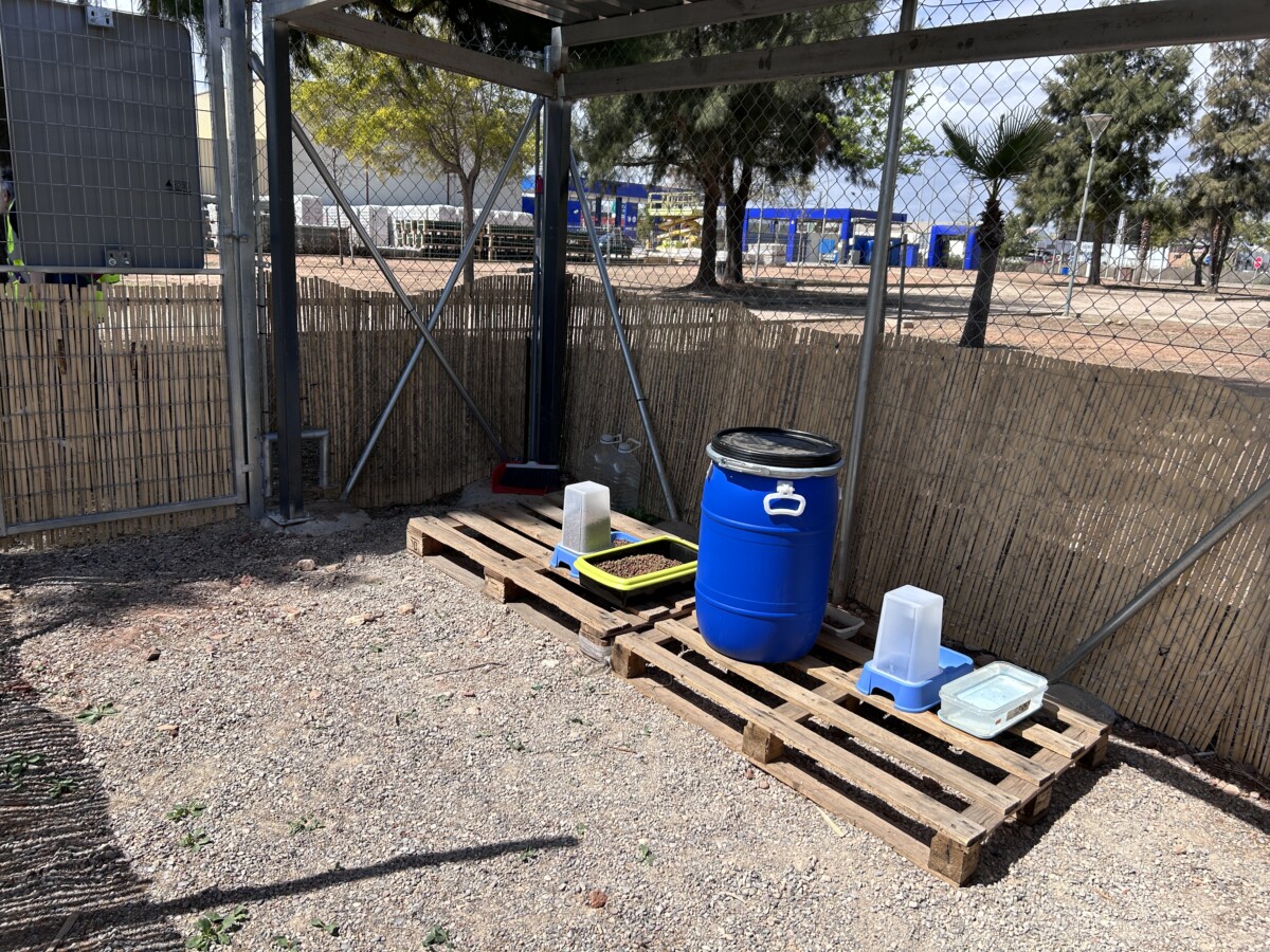 Instalación refugio gatos Polígono de La Pobla de Farnals